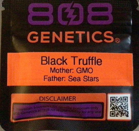 Black Truffle