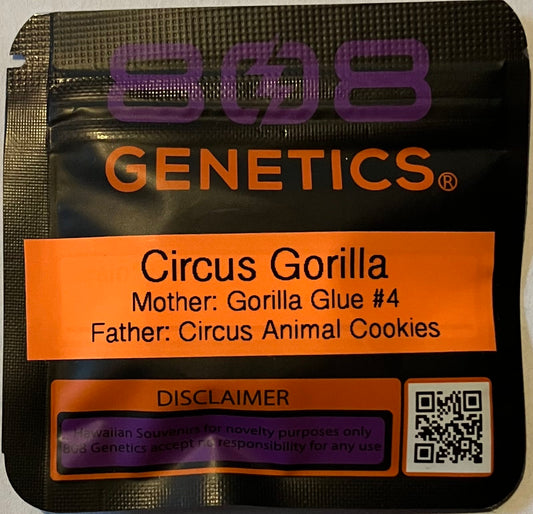 Circus Gorilla