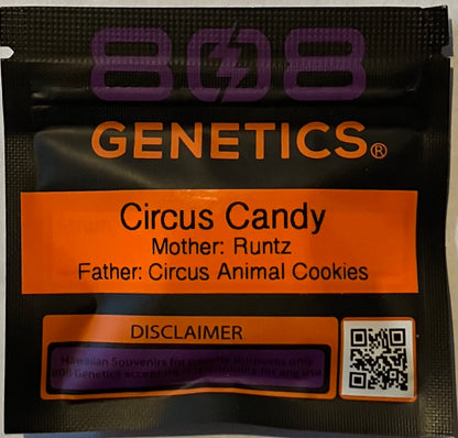 Circus Candy