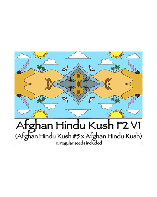 Afghanistan Hindu Kush F2 V1
