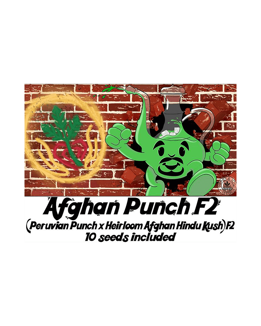 Afghan Punch F2