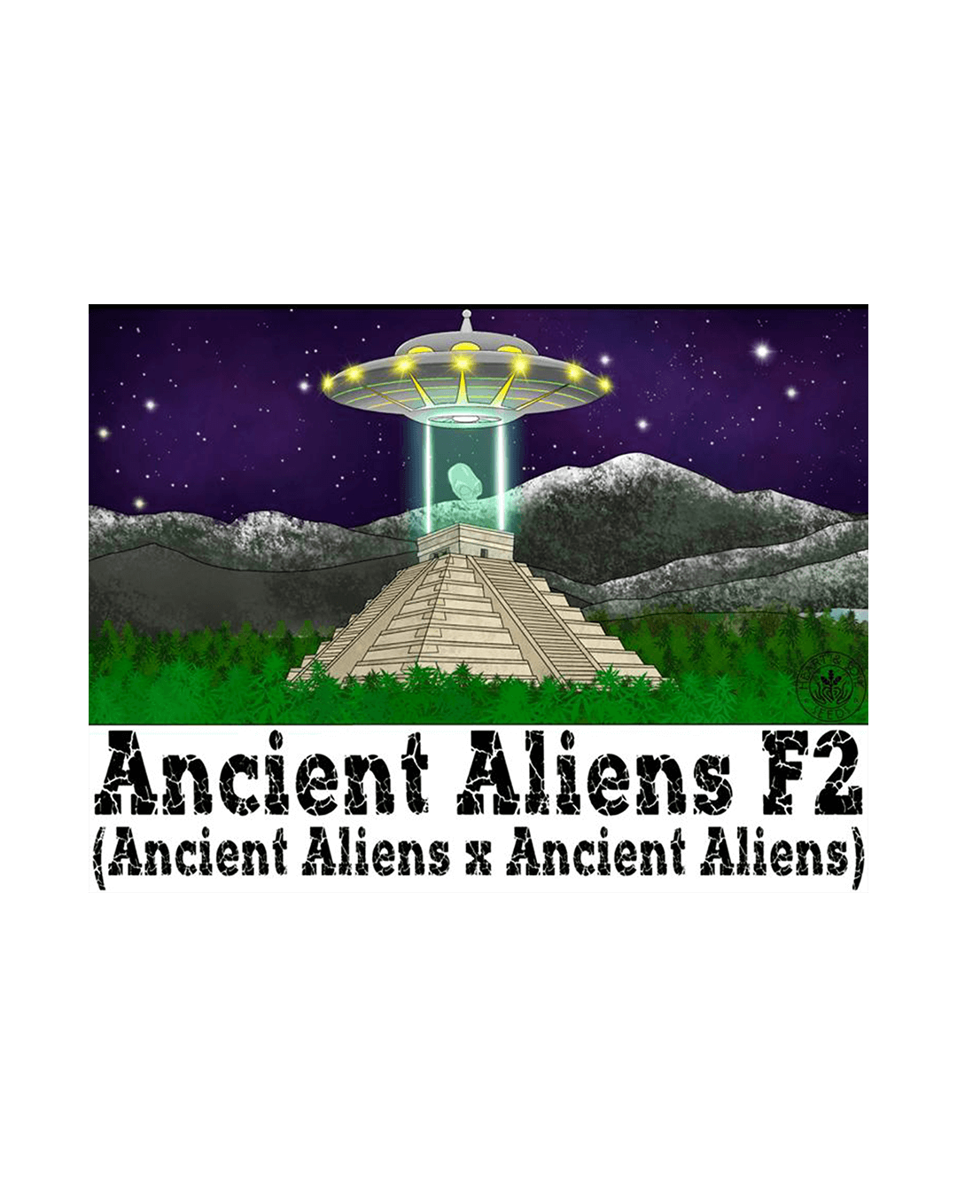 Ancient Aliens F2