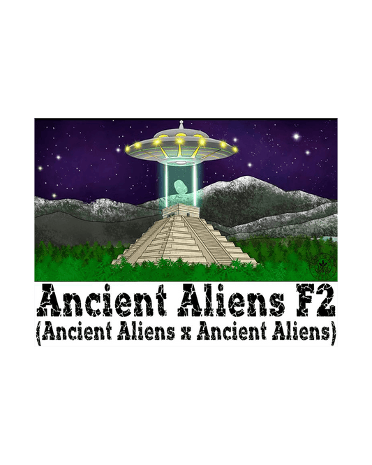 Ancient Aliens F2