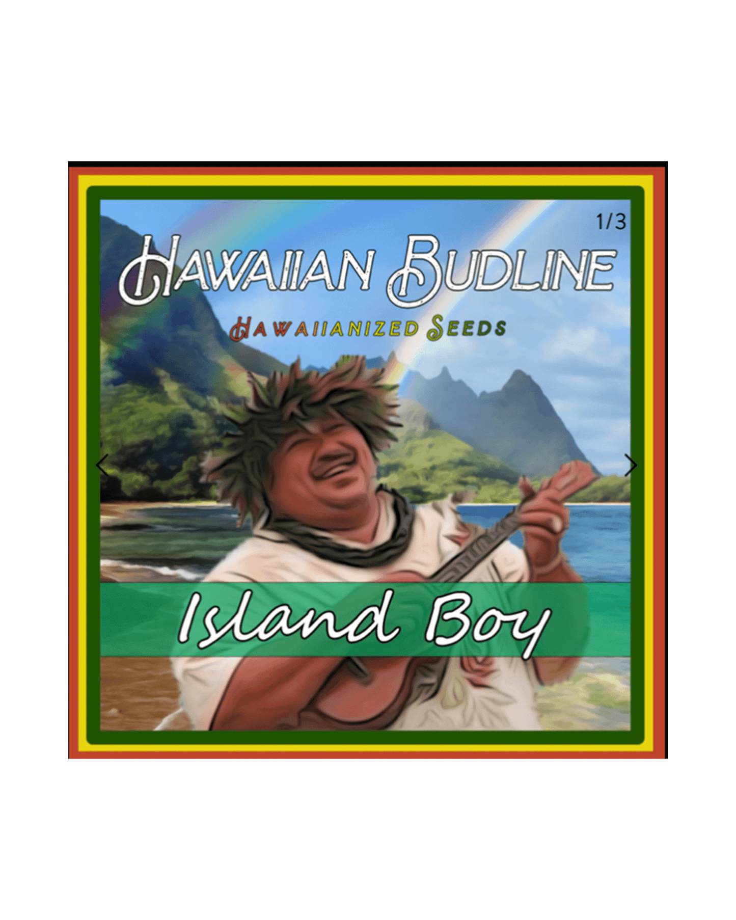 Island Boy