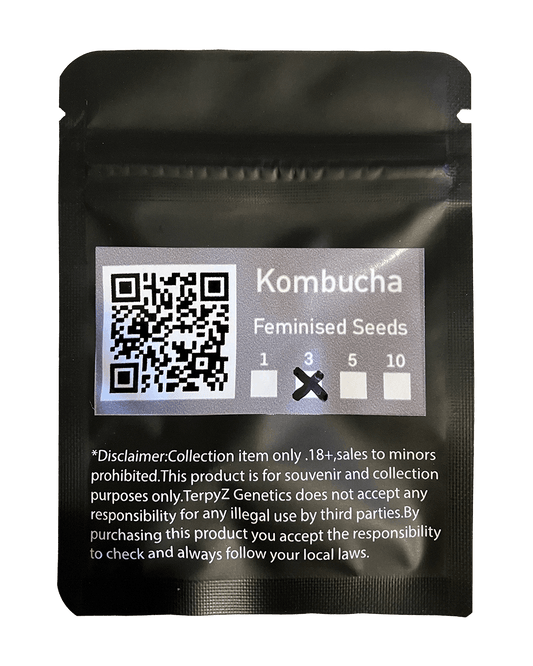 Kombucha