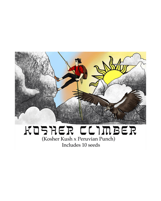 Kosher Climber