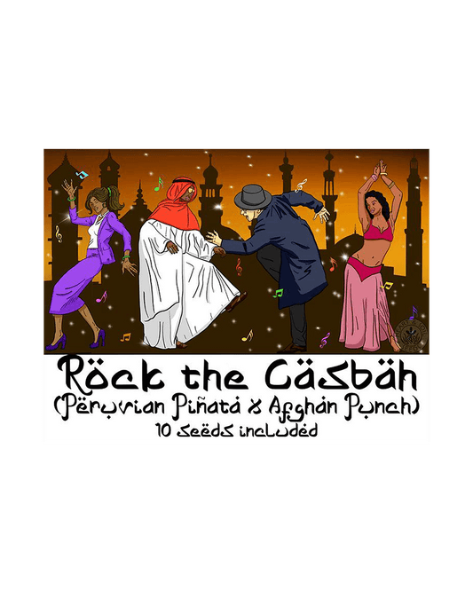 Rock the Casbah